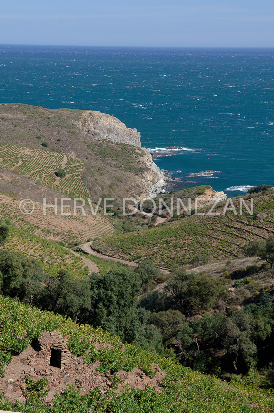 FRANCE ROUSSILLON VIGNOBLES BANYULS