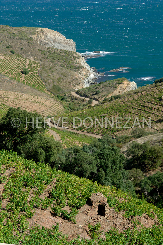 FRANCE ROUSSILLON VIGNOBLES BANYULS