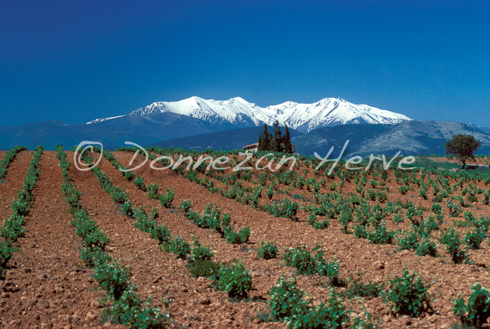 0261 ASPRES CANIGOU