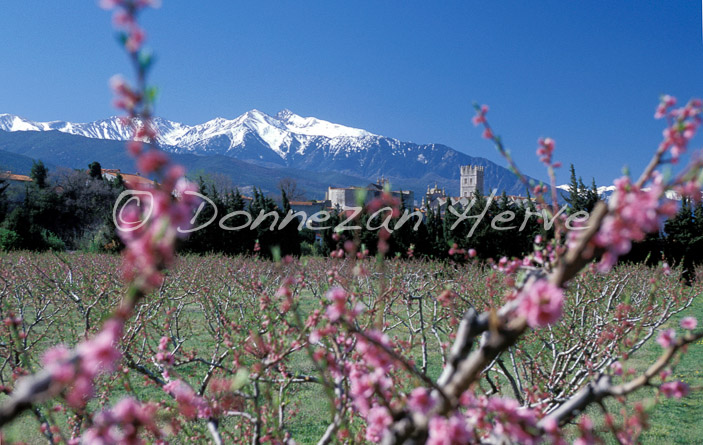 0281 ILLE PECHERS CANIGOU