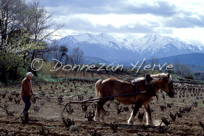 0330_18202_LABOUR_ASPRES_CANIGOU