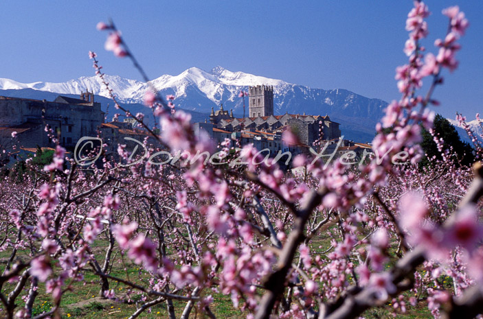 0367_21578_ILLE_PECHERS CANIGOU