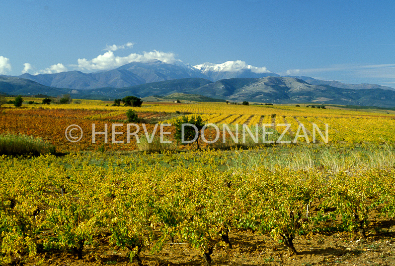 FRANCE ROUSSILLON RIVESALTES