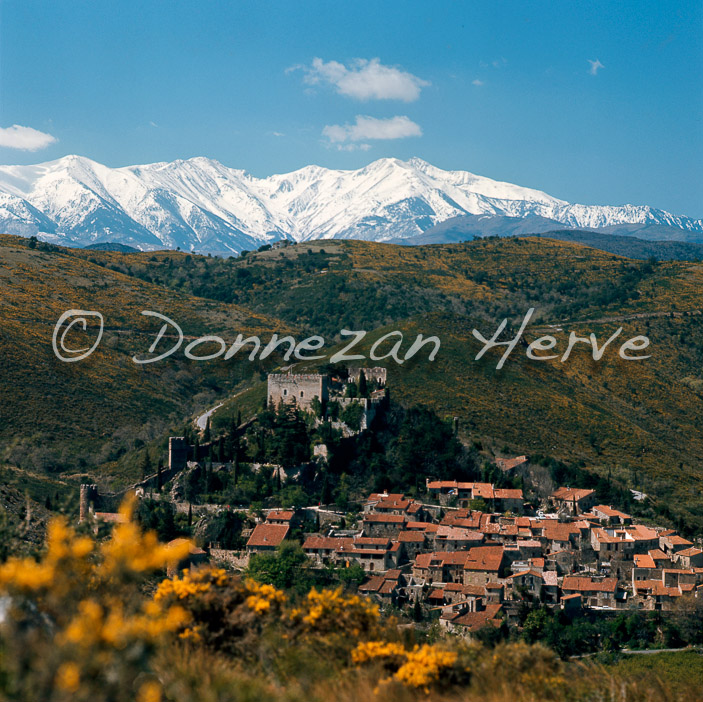 0969-CASTELNOU CANIGOU