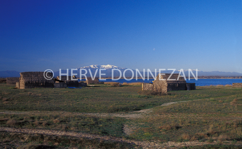 FRANCE PYRENEES ORIENTALES CANET EN ROUSSILLON