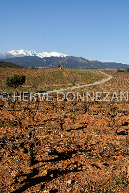 FRANCE ROUSSILLON PYR.OR. ASPRES CANIGOU