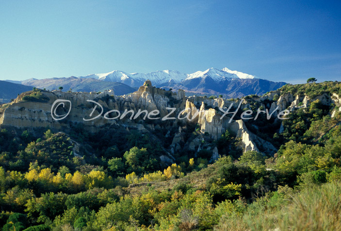 2204_35659_ORGUES ILLE_CANIGOU