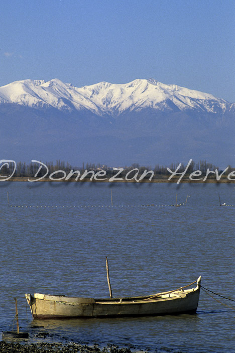 2235-39164-ETANG_CANET_CANIGOU