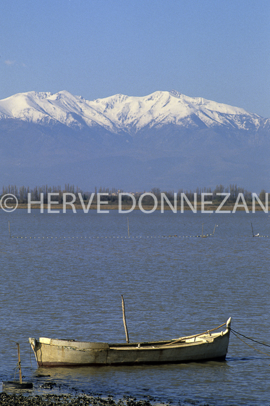 ROUSSILLON