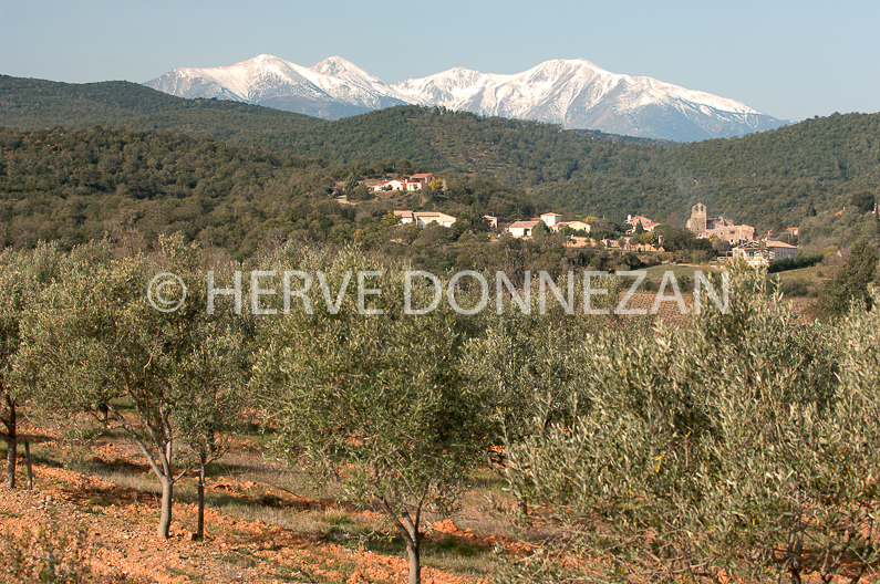 FRANCE ROUSSILLON AGRICULTURE TORDERES