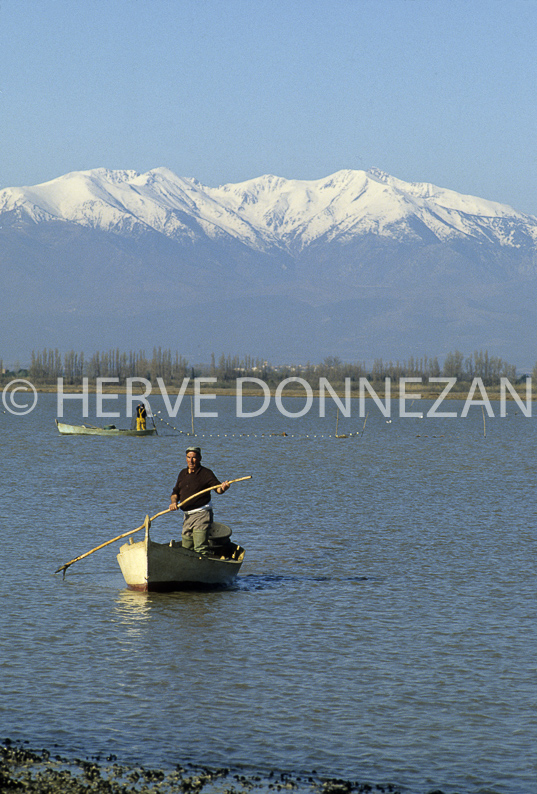 FRANCE PYRENEES ORIENTALES CANET EN ROUSSILLON