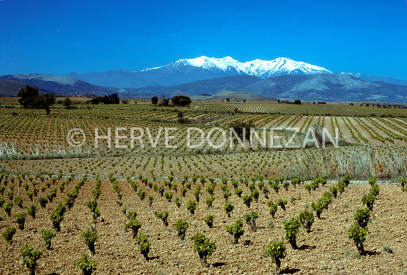 FRANCE ROUSSILLON ASPRES 