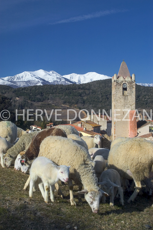 FRANCE ROUSSILLON ASPRES