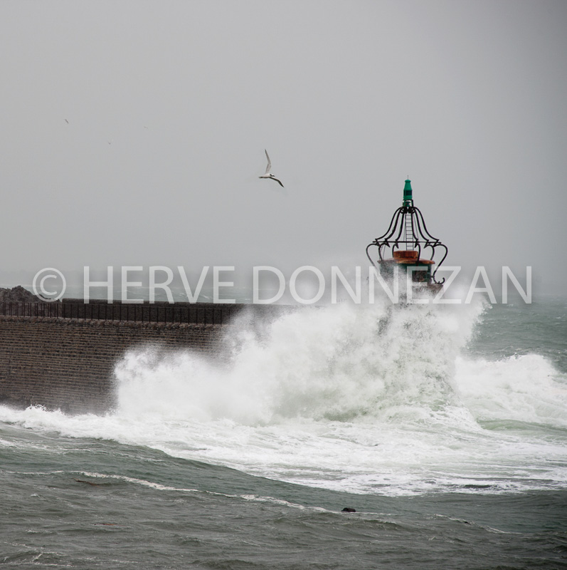 4840_0798_COLLIOURE,