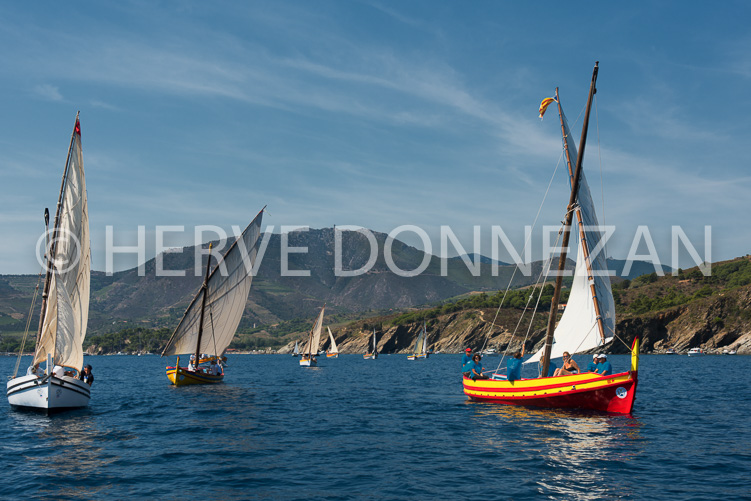 5583-1801_PAULILLE MARINE_CATALANES
