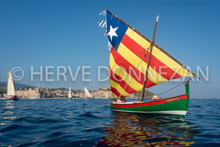 6594-0159165-COLLIOURE-CATALANE-4