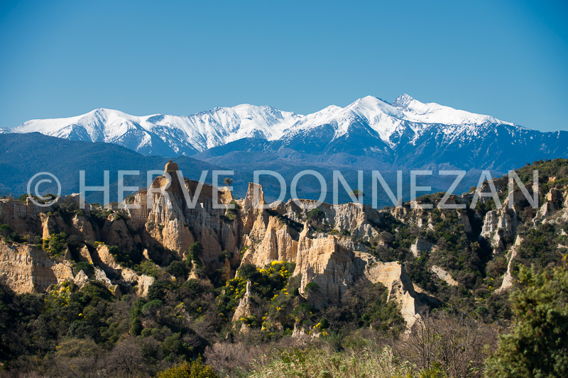 4759_1459_CANIGOU_ORGUES