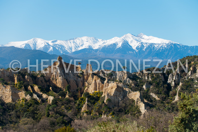 6472-0153571ILLE-ORGUES-CANIGOU