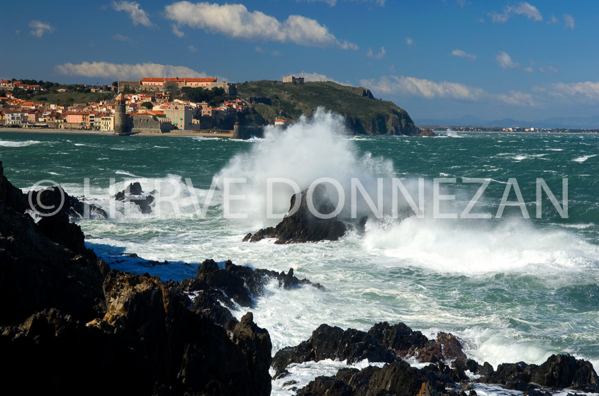 2311_63095_COLLIOURE TEMPETE_28