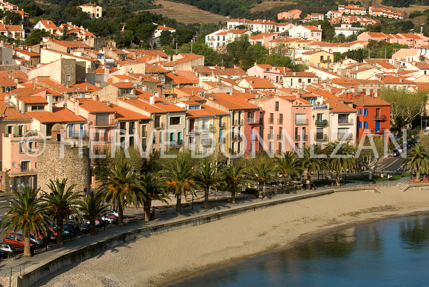 2800_79893-COLLIOURE_FAUBOURG