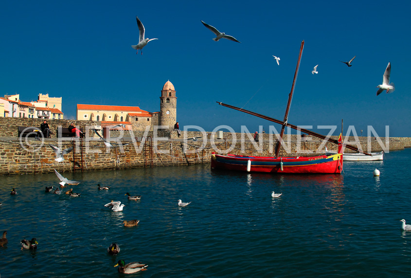 3210_0763_COLLIOURE