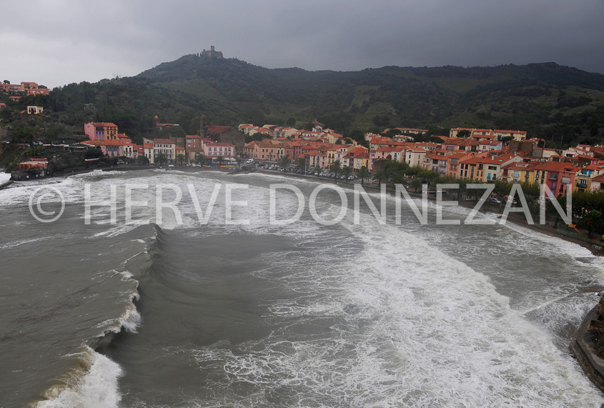 3368_2826_COLLIOURE_TEMPETE