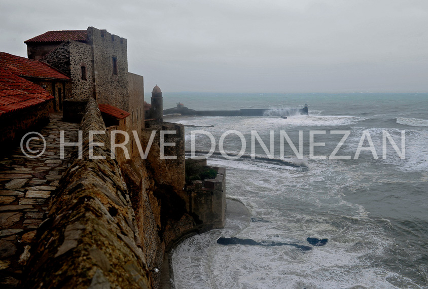 3370_2837_COLLIOURE_TEMPETE