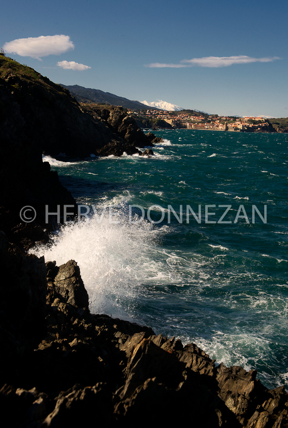 3450_94398_COLLIOURE_CANIGOU