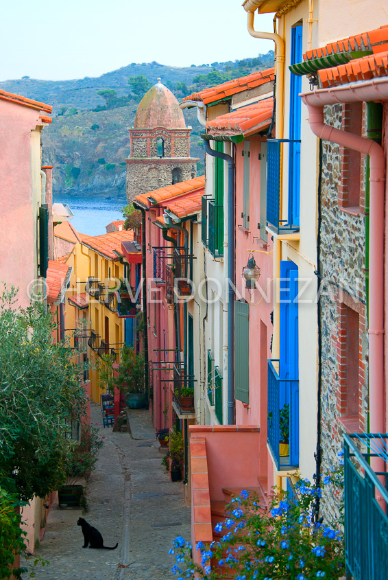 3540-4539_COLLIOURE_MIRADOR