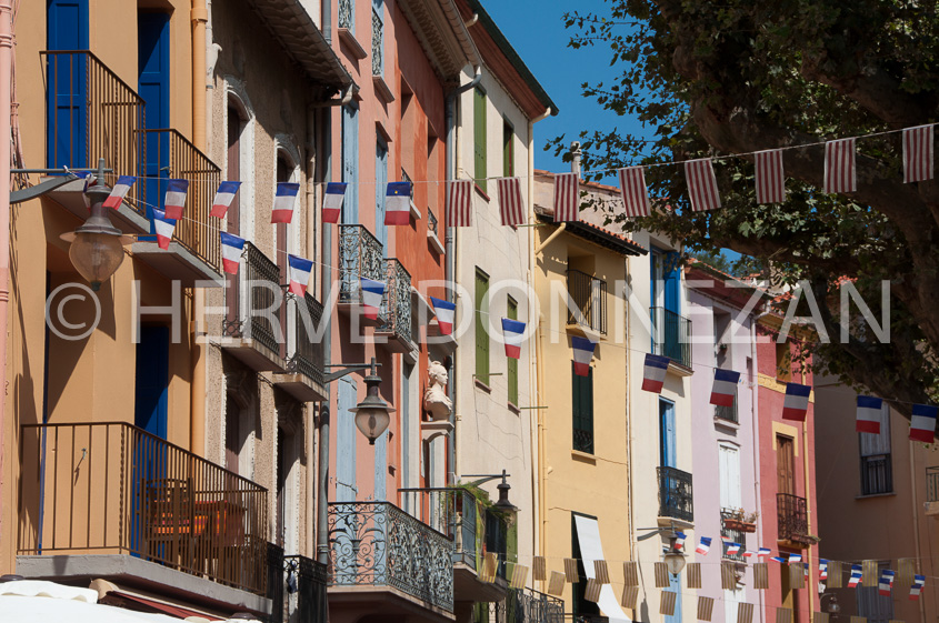3547_100010_COLLIOURE_IMMOBILIER