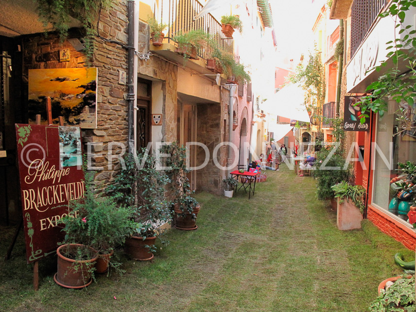 3557_0197_COLLIOURE_RUE