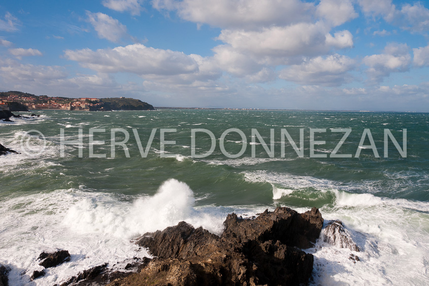 4268_4790_COLLIOURE_TRAM