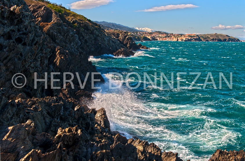 4528_94385-COLLIOURE-TRAM-MARINE-