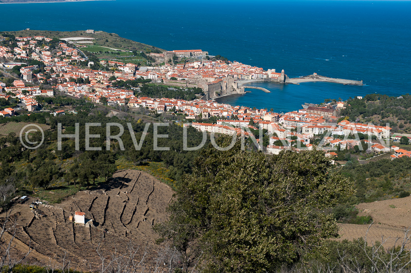 4542_94432COLLIOURE_BAIE