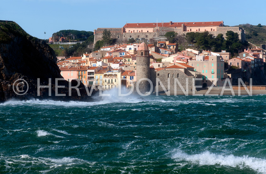 4546_5801_COLLIOURE_TRAM
