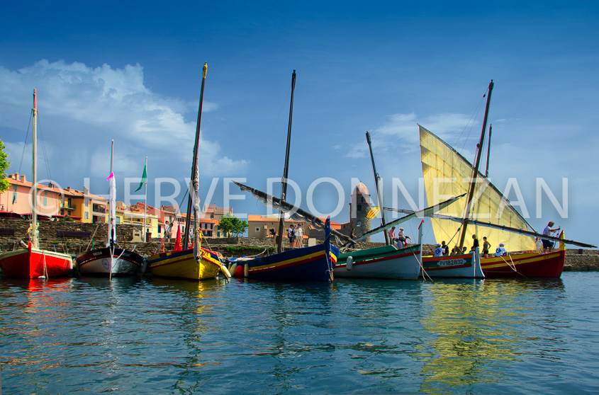 4554_5835_ COLLIOURE_CATALANE_POLA-H