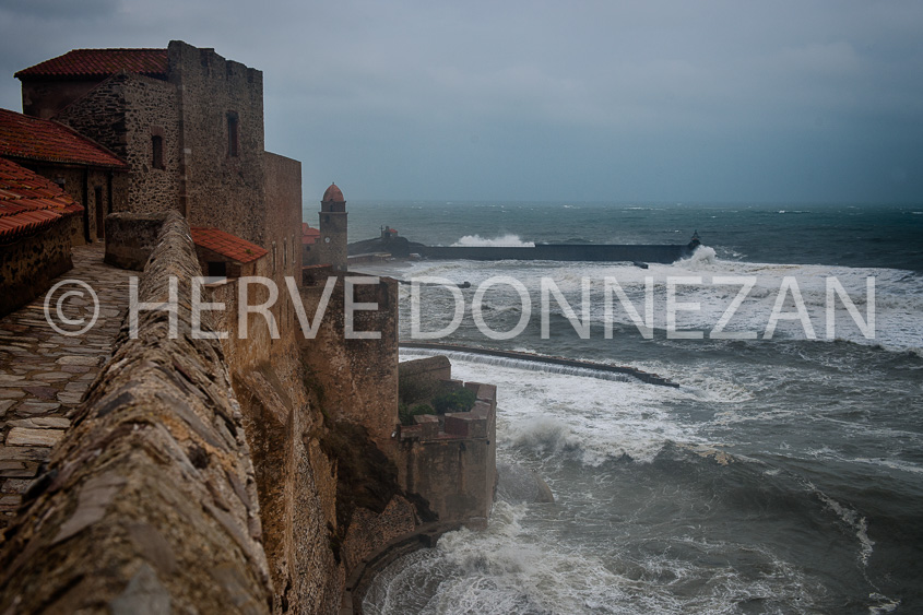 5041_93053-COLLIOURE-TEMP