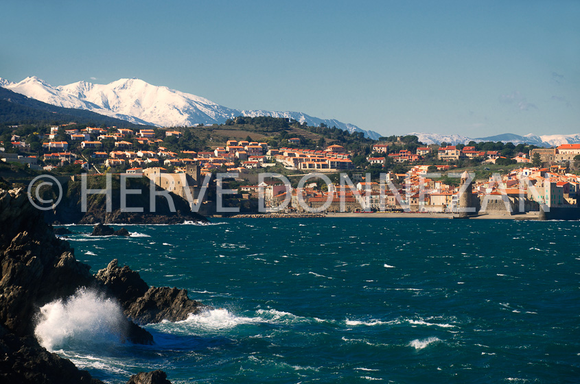 5519_94377_COLLIOURE_CANIGOU_MARINE