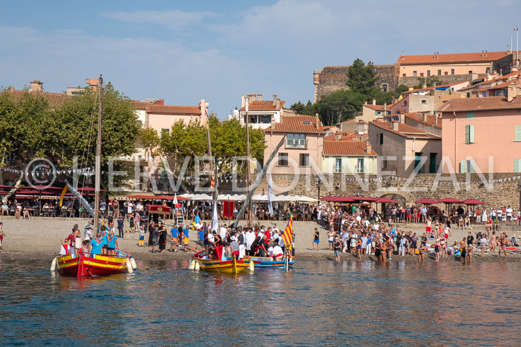 ANCHOIS-6704-0141190-COLLIOURE-CATALANES-OR