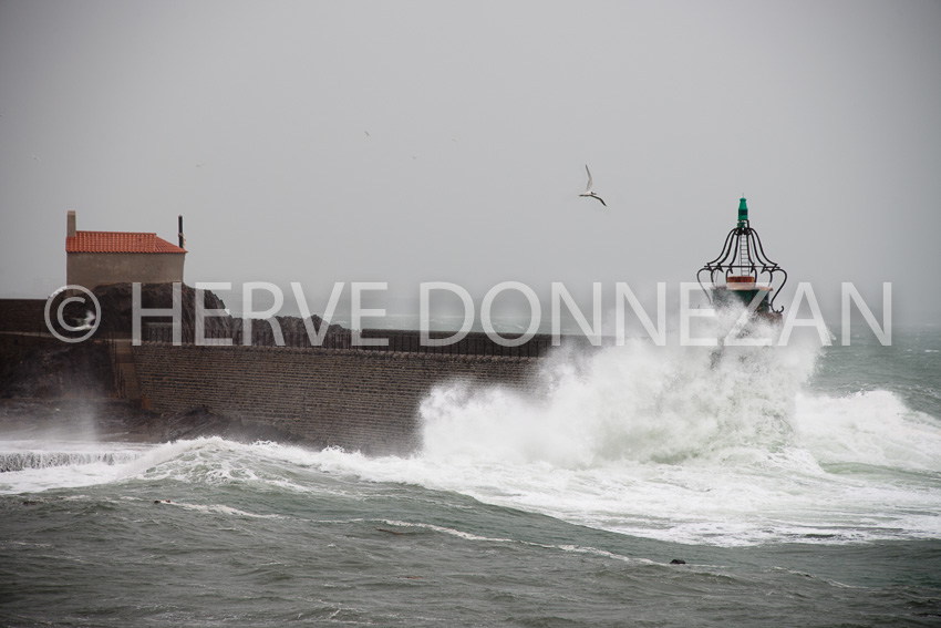 4840_0798_COLLIOURE-TEMPETE-