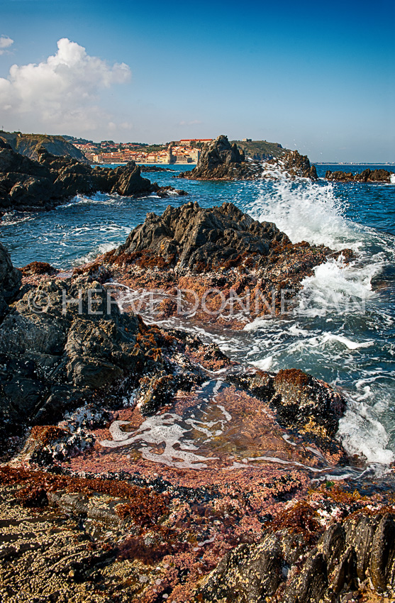 6658-9413-COLLIOURE-VAGUES-HDR