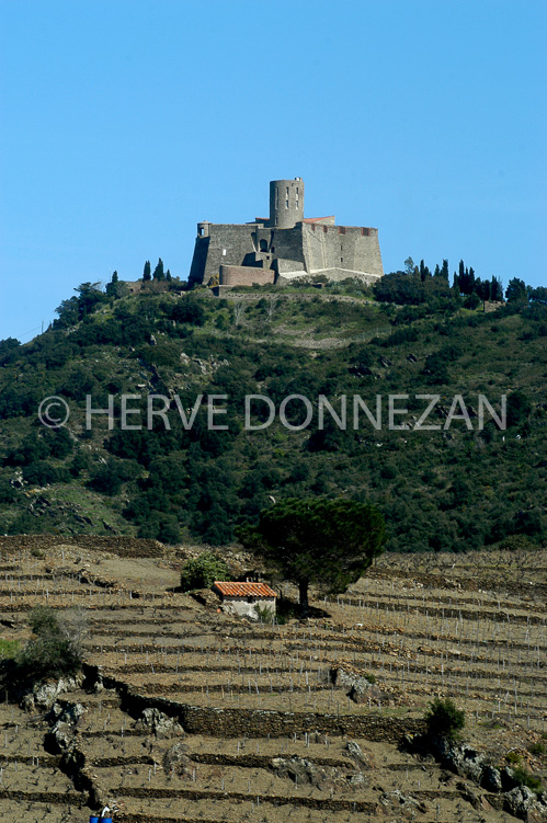 1455_25548 COLLIOURE_ST ELMES