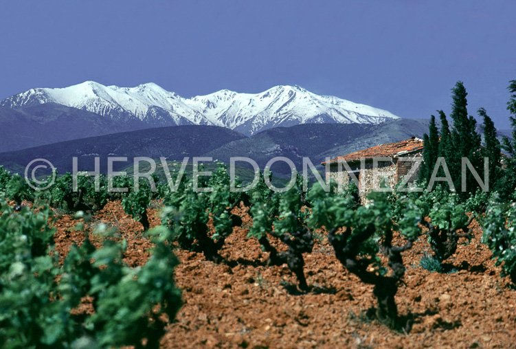 1713_154_CASOT ASPRES  CANIGOU