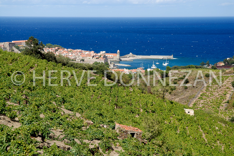 2174_52283_COLLIOURE_CASOT