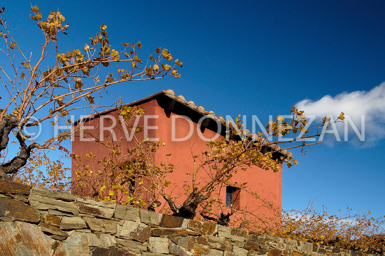 2220_31958_COLLIOURE_CASOT