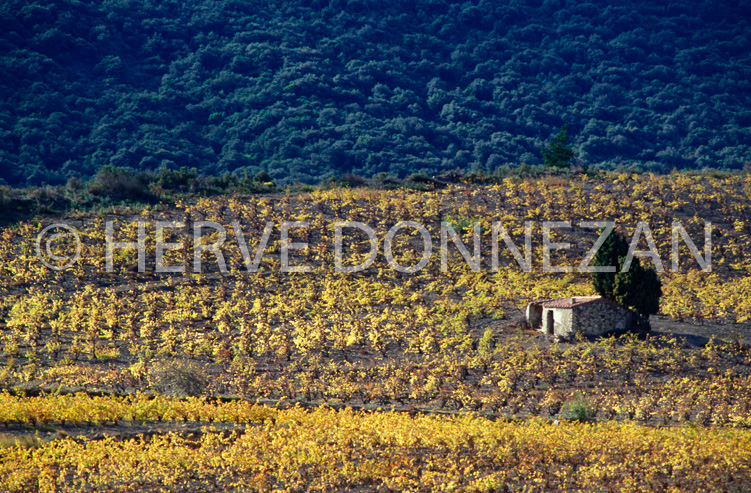 2271_28065_CASOT FENOUILLEDES