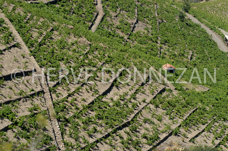 2321_26603_BANYULS_CASOT