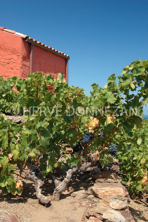 2364_33322_CASOT_ST ELME