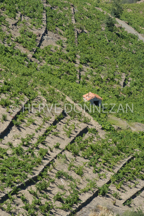 2383_26604_BANYULS_CASOT