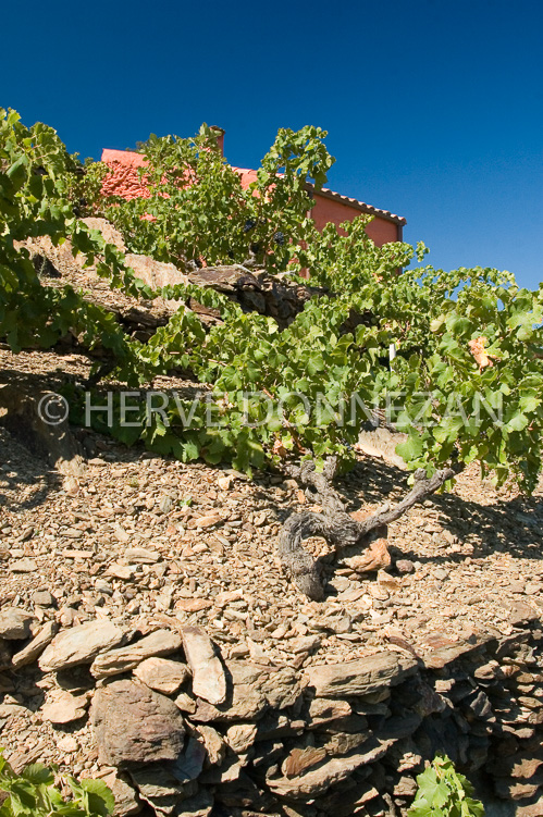 2389_46792COLLIOURE